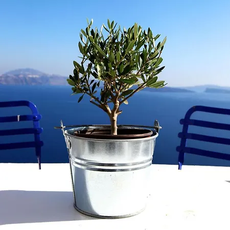 مينياس كيف هاوس *