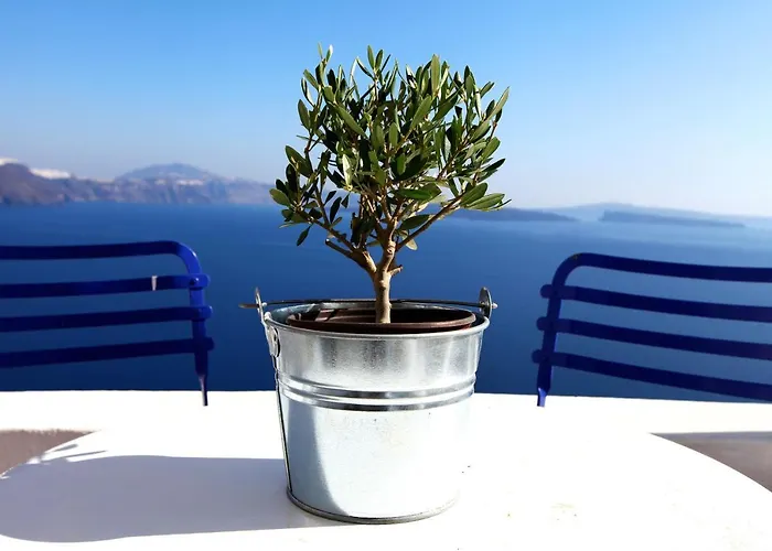 مينياس كيف هاوس *